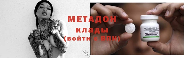 прущие грибы Михайловск