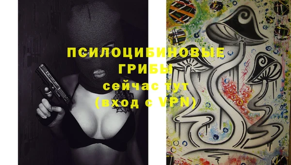 МДПВ Надым