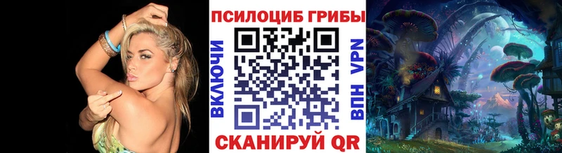 где купить   Новокубанск  Галлюциногенные грибы прущие грибы 