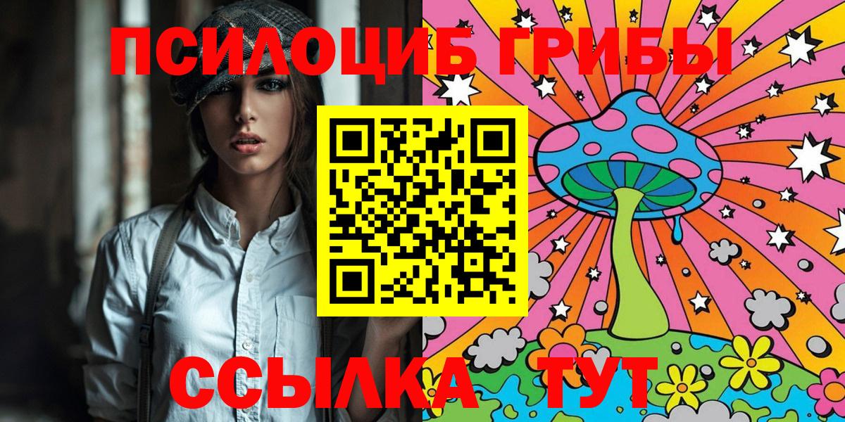 Псилоцибиновые грибы прущие грибы Новокубанск