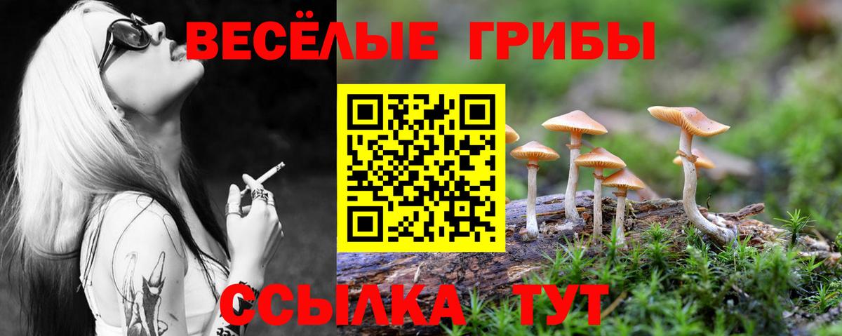 Новокубанск  Галлюциногенные грибы мицелий  Вход с VPN  Псилоцибиновые грибы GOLDEN TEACHER 